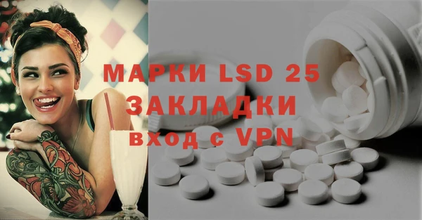 ПСИЛОЦИБИНОВЫЕ ГРИБЫ Баксан