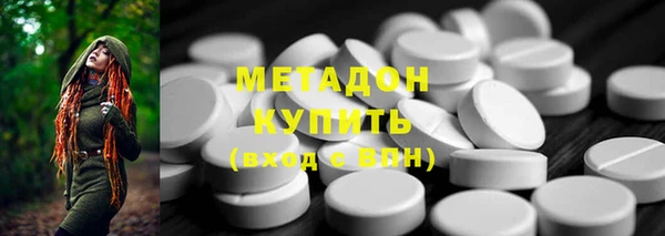 индика Аркадак