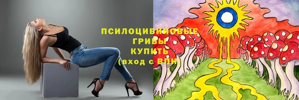 СК Покровск